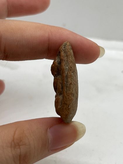 พระกรุวัดตะไกร พิมพ์หน้าครุฑ พระกรุวัดตะไกร อยุธยา พระวัดตะไกร เนื้อดินยอดนิยม รูปที่ 4