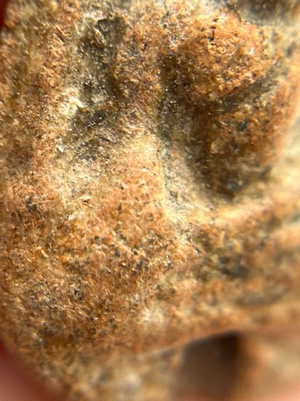 พระกรุวัดตะไกร พิมพ์หน้าครุฑ พระกรุวัดตะไกร อยุธยา พระวัดตะไกร เนื้อดินยอดนิยม รูปที่ 8