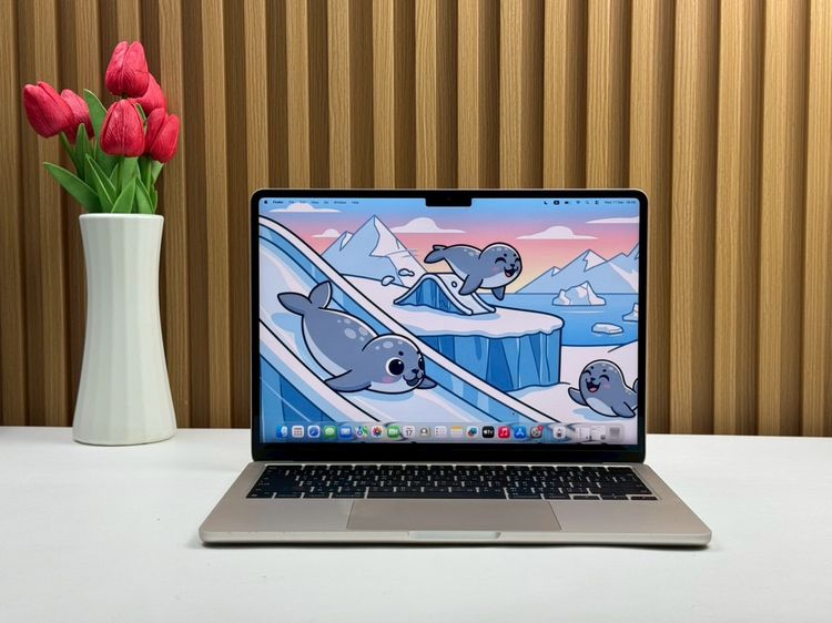 Apple แมค โอเอส 8 กิกะไบต์ อื่นๆ ไม่ใช่ MacBook Air 13.6-inch M3 2024 Ram8GB SSD256GB Starlight 