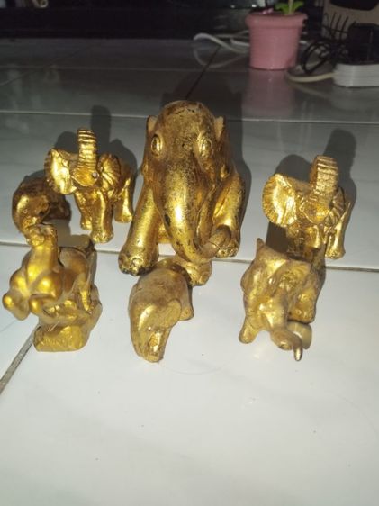 ช้างไม้สักทาสีทองมี6ชิ้น รูปที่ 4