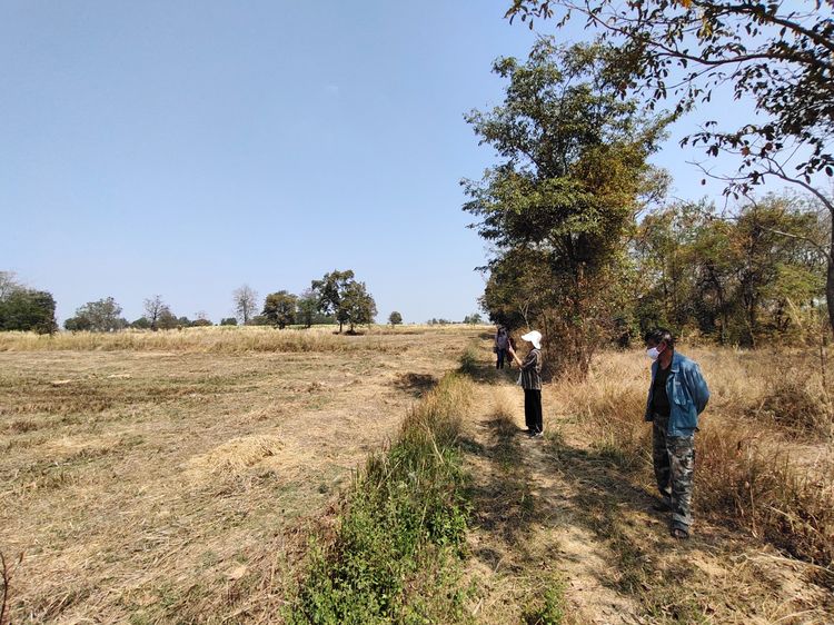 ขายที่ดิน 12 ไร่ จ.นครราชสีมา รูปที่ 4