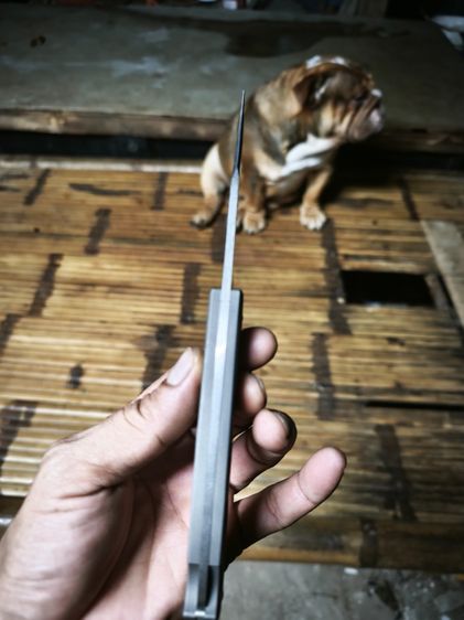 มีดพับ BUCK 