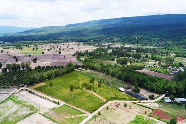  ที่ดินสวย วิวเขาวังทอง 200 ตร.วา  ราคาดีที่สุด 299,000 บาท  097 446 4446 รูปที่ 2