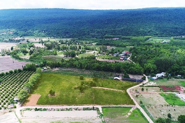  ที่ดินสวย วิวเขาวังทอง 200 ตร.วา  ราคาดีที่สุด 299,000 บาท  097 446 4446 รูปที่ 3