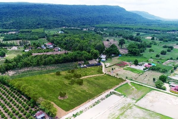  ที่ดินสวย วิวเขาวังทอง 200 ตร.วา  ราคาดีที่สุด 299,000 บาท  097 446 4446 รูปที่ 4