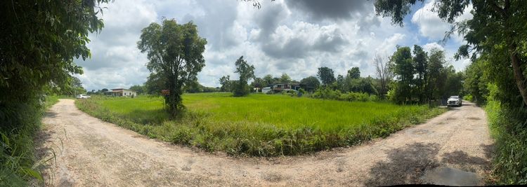 ขายที่ดิน รูปที่ 2