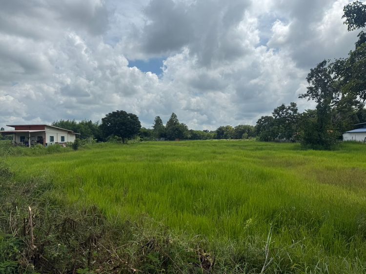 ขายที่ดิน รูปที่ 4