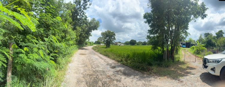 ขายที่ดิน