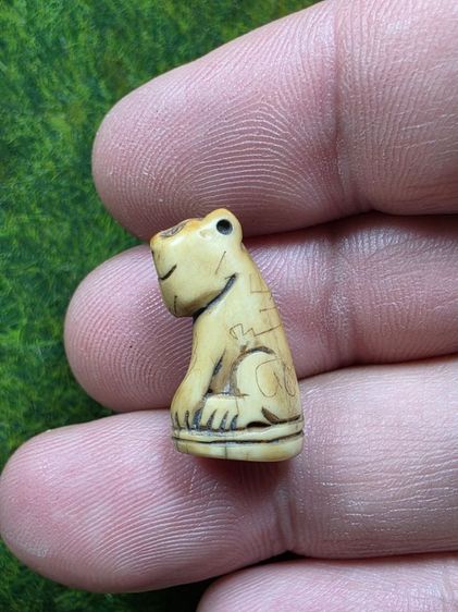 เสือหลวงพ่อปานเก่าๆ