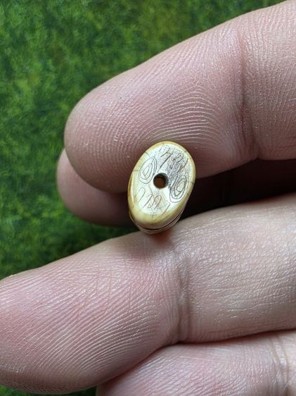 เสือหลวงพ่อปานเก่าๆ รูปที่ 5