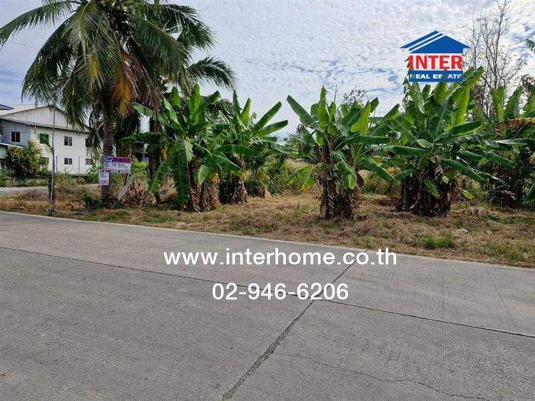 ที่ดินเปล่า 200 ตร.ว. ที่ดิน ซอยลาดหลุมแก้ว9 ถนนกาญจนาภิเษก ถนนลาดหลุมแก้ว ลาดหลุมแก้ว ปทุมธานี รูปที่ 3