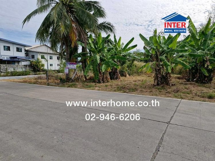 ที่ดินเปล่า 200 ตร.ว. ที่ดิน ซอยลาดหลุมแก้ว9 ถนนกาญจนาภิเษก ถนนลาดหลุมแก้ว ลาดหลุมแก้ว ปทุมธานี รูปที่ 4