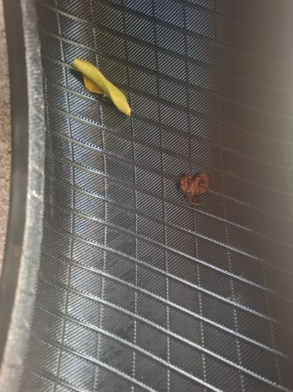 ขายยางมือสอง DUNLOP ปี 3924 รูปที่ 4