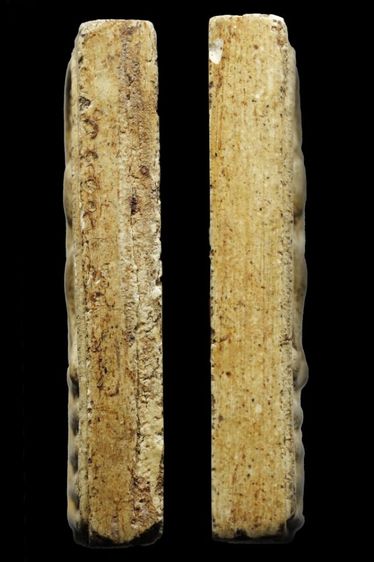 สมเด็จสะดุ้งกลับวัดเขาตะเครา ปี๒๕๑๓ บล็อกเอวใหญ่ สวยครับ รับประกันพระแท้ตลอดชีพ รูปที่ 2