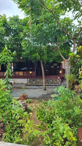 ร้านค้า รูปที่ 4