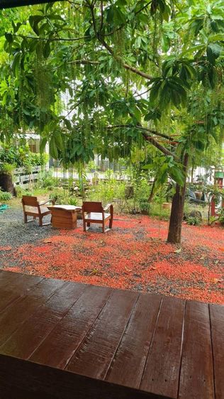ร้านค้า รูปที่ 2