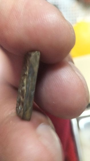 พระหลวงปู่ศุขวัดปากคลองมะขามเฒ่า รูปที่ 8