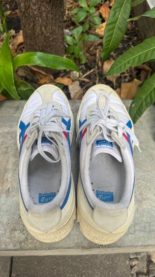 Onitsuka Tiger Mexico Delegation รูปที่ 3