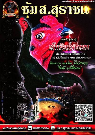 ป่าก๋อยง่อนจอมสโล่หลัง""เจ้าเยียร์สุราชน""มีลูกแบ่งจำหน่ายแล้ว