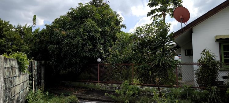 อื่นๆ ไม่มี สร้างเสร็จก่อน 2010 ให้เช่าบ้านเดี่ยวชั้นเดียว เนื้อที่ประมาณ 80 ตรว. หมู่บ้านกฤษดานคร 10 ถนน รัตนธิเบศร์ รูปที่ 3