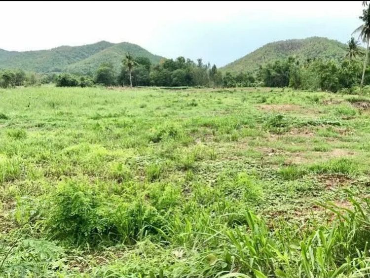 ขายถูกที่ดิน 6 ไร่ 2 งาน77ตรว จ.อุทัยธานี ที่ติดลำน้ำ ติดถนนทำเลดี ฮวงจุ้ยดีมาก ที่ดินหันหน้าทิศตะวันออก อุดมสมบูรณ์ ด้านหลังวิวภูเขาสวยงาม รูปที่ 2