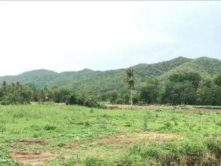 ขายถูกที่ดิน 6 ไร่ 2 งาน77ตรว จ.อุทัยธานี ที่ติดลำน้ำ ติดถนนทำเลดี ฮวงจุ้ยดีมาก ที่ดินหันหน้าทิศตะวันออก อุดมสมบูรณ์ ด้านหลังวิวภูเขาสวยงาม 