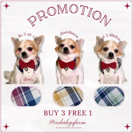 หมาปลอกคอหมา  3เเถม1 คละเเบบได้  รูปที่ 5