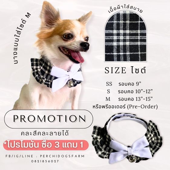 หมาปลอกคอหมา  3เเถม1 คละเเบบได้  รูปที่ 7