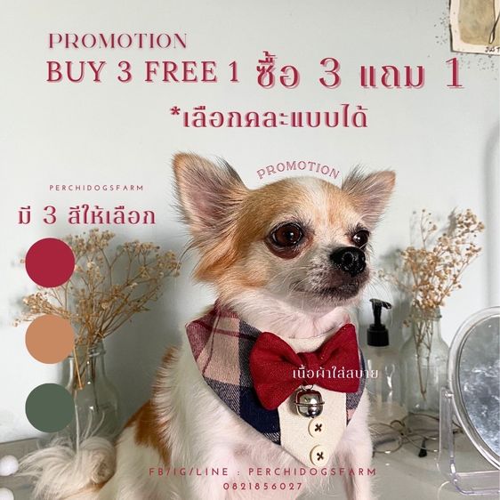 หมาปลอกคอหมา  3เเถม1 คละเเบบได้  รูปที่ 4