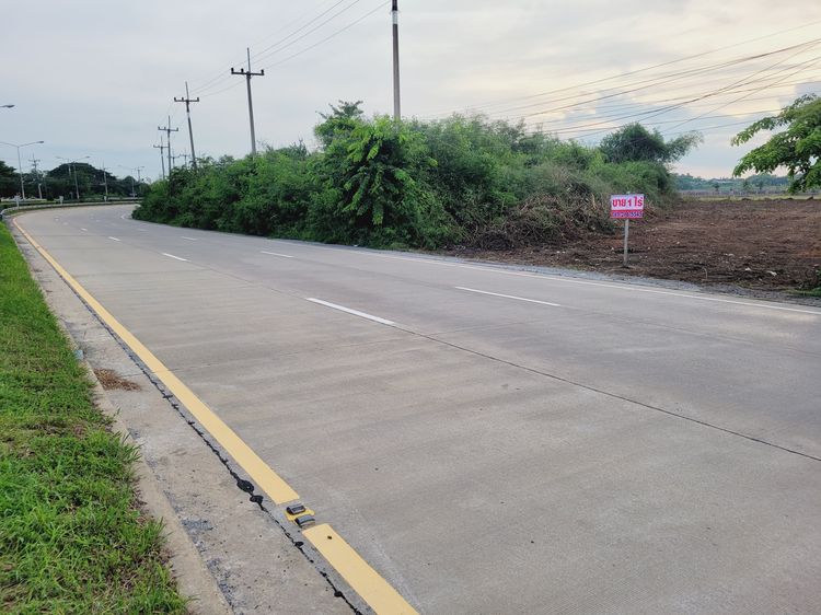 ขายถูกๆที่ดิน 1 ไร่  อ.เมือง จ.สุพรรณบุรี ที่ดินสวยๆด้านหลังติดคลองด้านหน้าติดถนนใหญ่ รูปที่ 3