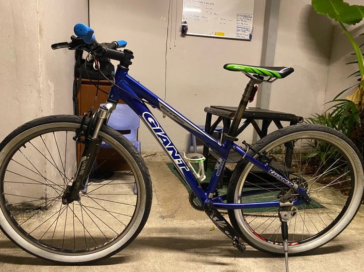 Giant Rock4500 Japan