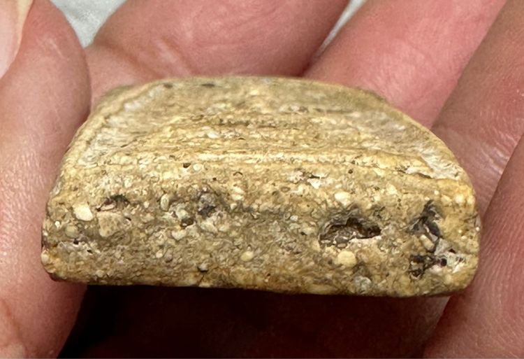 🙏พระสมเด็จเนื้อเก่าๆ มวลสารเยอะ รูปที่ 7