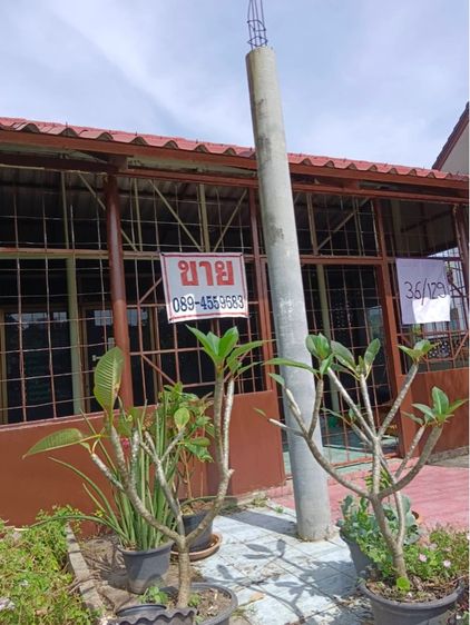 ขายต่ำกว่าประเมิน เจ้าของขายเอง ที่ดิน50ตรว พร้อมบ้านตึกชั้นเดียว ในซอยทวีวัฒนา14(แยก1) เหมาะทำออฟฟิศและอยู่อาศัย ขายเพียง 1.2 ล้าน  ติดต่อ 