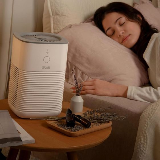 เครื่องฟอก Levoit เล็กพลังแรง 15 ตรม. HEPA คู่ ฟอก PM2.5 ห้องนอน-รถ-บ้าน สะอาดลมหายใจสบาย รูปที่ 16