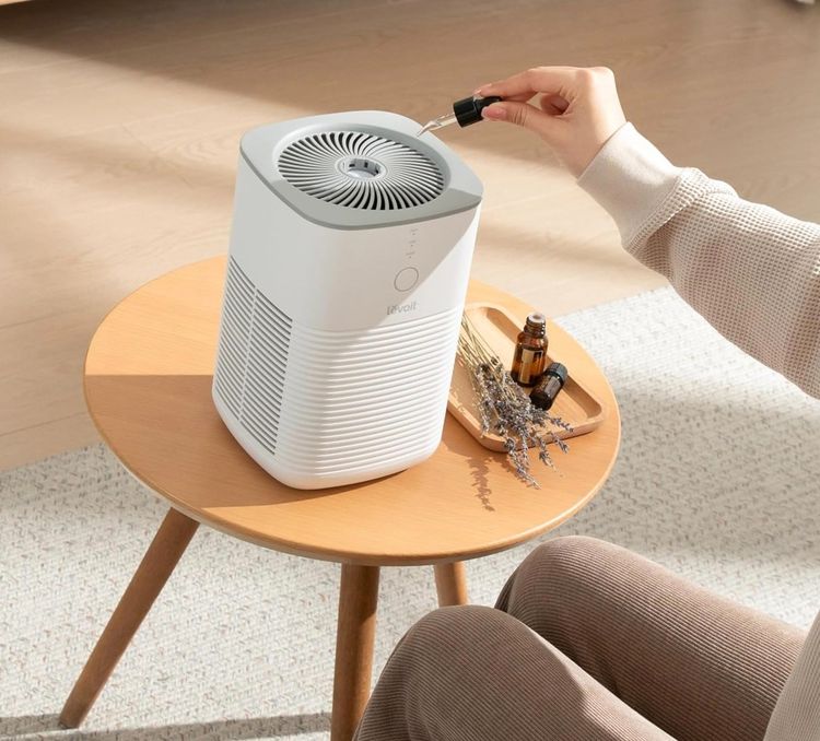 เครื่องฟอก Levoit เล็กพลังแรง 15 ตรม. HEPA คู่ ฟอก PM2.5 ห้องนอน-รถ-บ้าน สะอาดลมหายใจสบาย รูปที่ 18