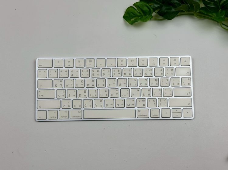 Apple Magic Keyboard2 (Lightning)