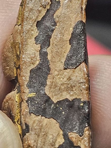 พระนางพญากรุวัดนางพญา รูปที่ 3