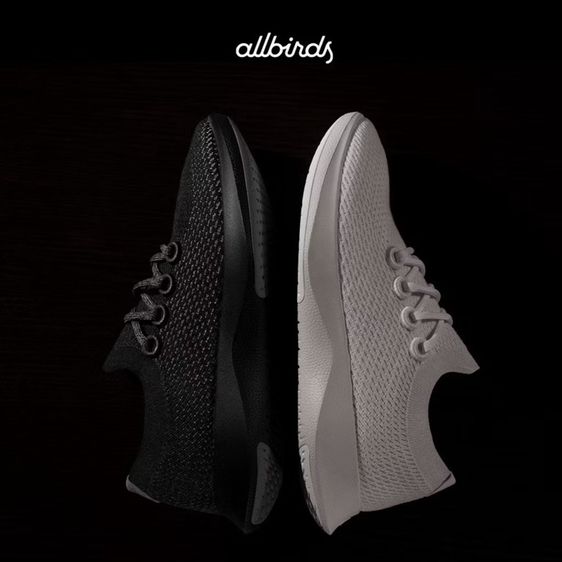 allbirds รูปที่ 7