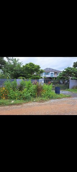 ใช่ ขายที่ดินหนองจอก ออกรังสิตคลอง13ได้ รูปที่ 2