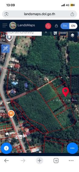 ที่ดินสวนยางพารา รูปที่ 2