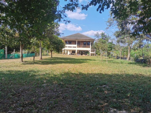 ใช่ ที่ดินพร้อมบ้านเนื้อที่​ 1 ไร่ รูปที่ 4