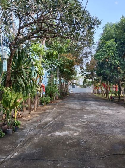 ใช่ บ้านพร้อมที่ดิน 520 ตรว. รูปที่ 4