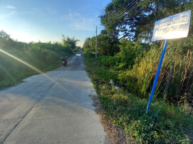 ใช่ ขายที่สวยโฉนดครุฑแดง 175 ตรว.ถนนเคหะ - บ้านใหม่ ซ.27(เข้าซอย50เมตร) อ.บางใหญ่ จ.นนทบุรึ ราคา 1.75 ล้านบาทรวมโอน(ลดจาก1.89ล้าน) 092 - 9269492 รูปที่ 3