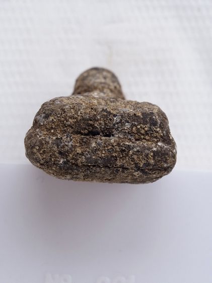 พระหลวงปู่ทวด 16106803 รูปที่ 3