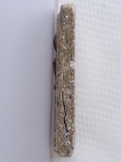 พระสมเด็จ 16106814 รูปที่ 4