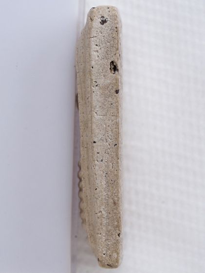 พระสมเด็จ วัดเกศไชโย 16106818 รูปที่ 4