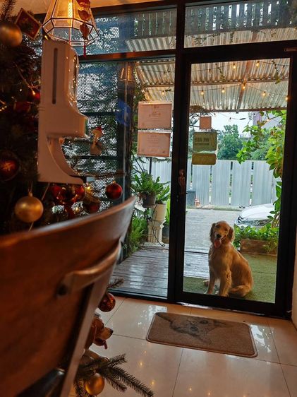 เซ้งร้านคราฟเบียร์ แจ้งวัฒนะ หลักสี่ ย่านชุมชน ตรงข้าม Big C ,โรงพยาบาลมงกุฏวัฒนะ ใกล้ BTS รูปที่ 2