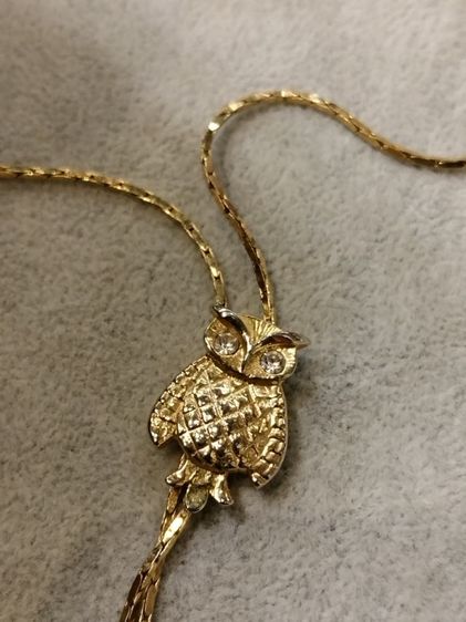 สร้อยคอ​ยาวนกฮูก​จากอังกฤษ​ รูปที่ 2