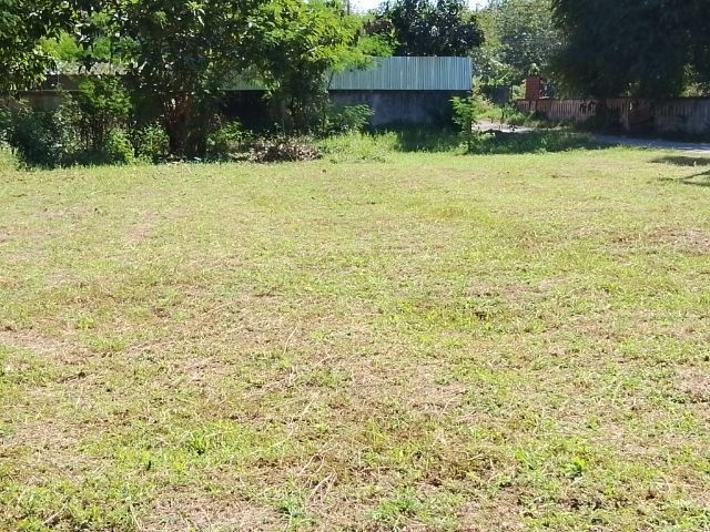 ใช่ ขายที่ดิน รูปที่ 3