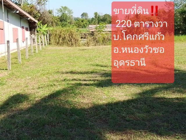 ขายที่ดิน